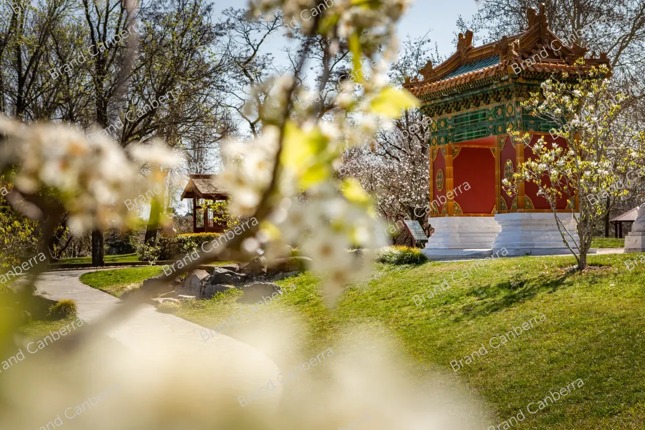 The Beijing Garden in Lennox Gardens on Canberra's Lake Burley Griffin (5)