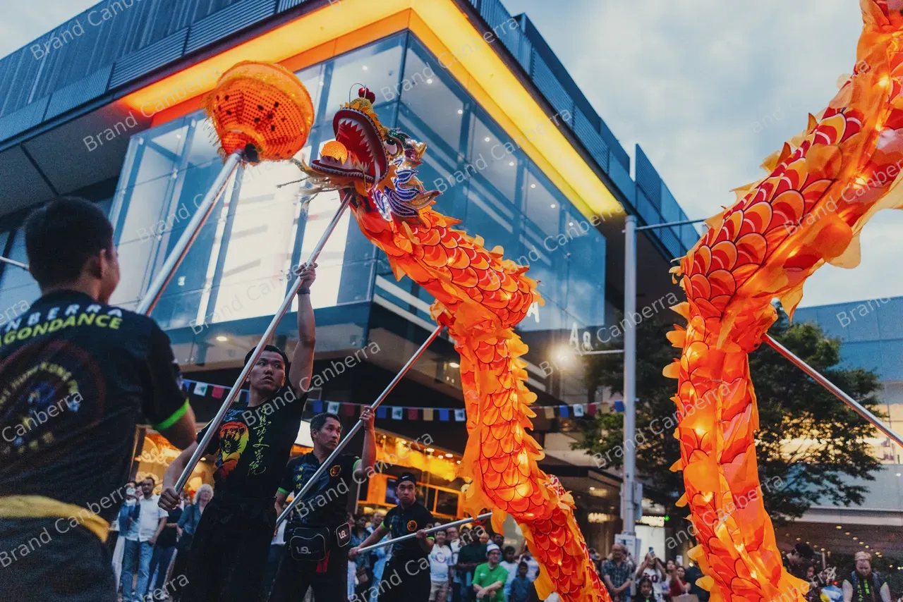 Canberra Dragon Dancers and National Multicultural Festival (2)