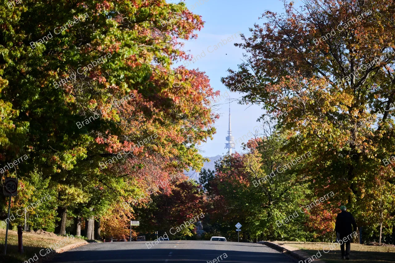 Autumn streets in the inner south, Stuart St Griffith (2)