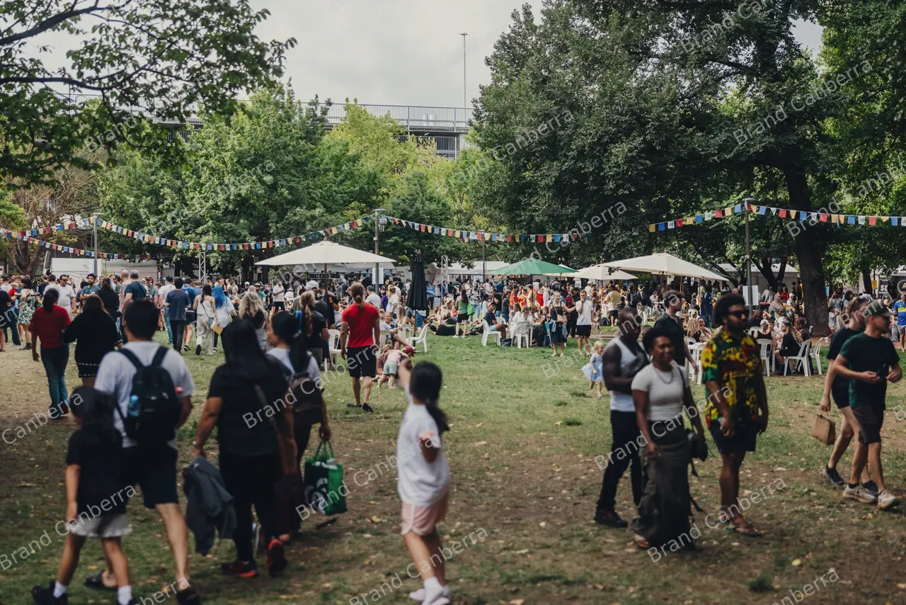 Crowds at National Multicultural Festival (13)