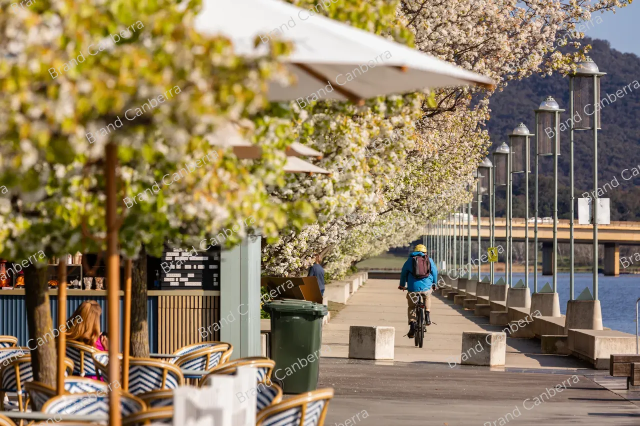 Spring blossoms around Canberra's Lake Burley Griffin (29)