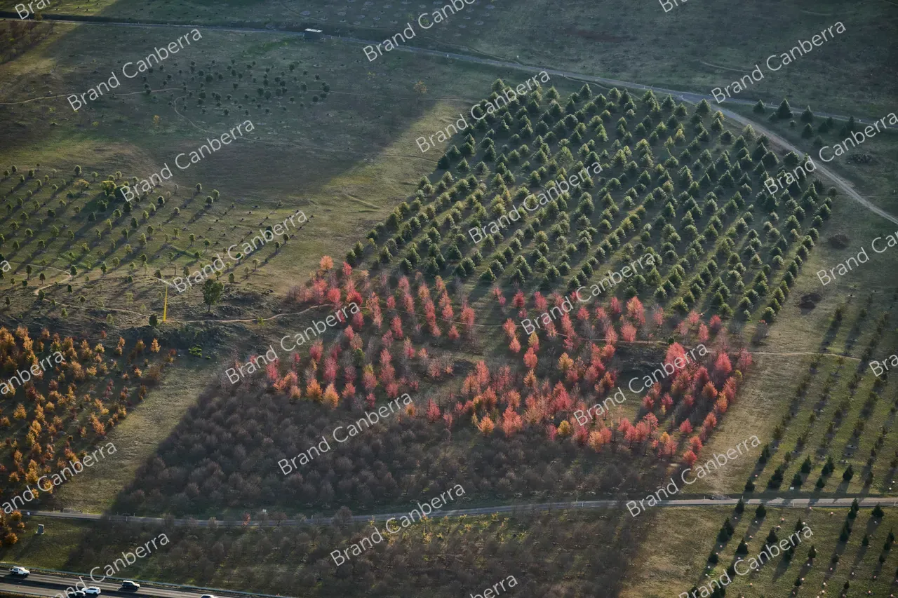 An aerial view over the National Arboretum in Canberra in late Autumn (1)