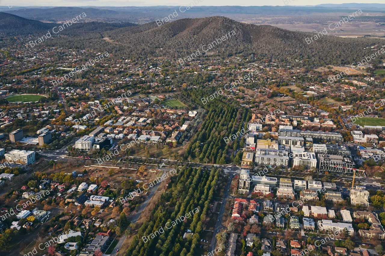 An aerial view over Canberra suburb Turner, with Haig Park and Mt Ainslie in view