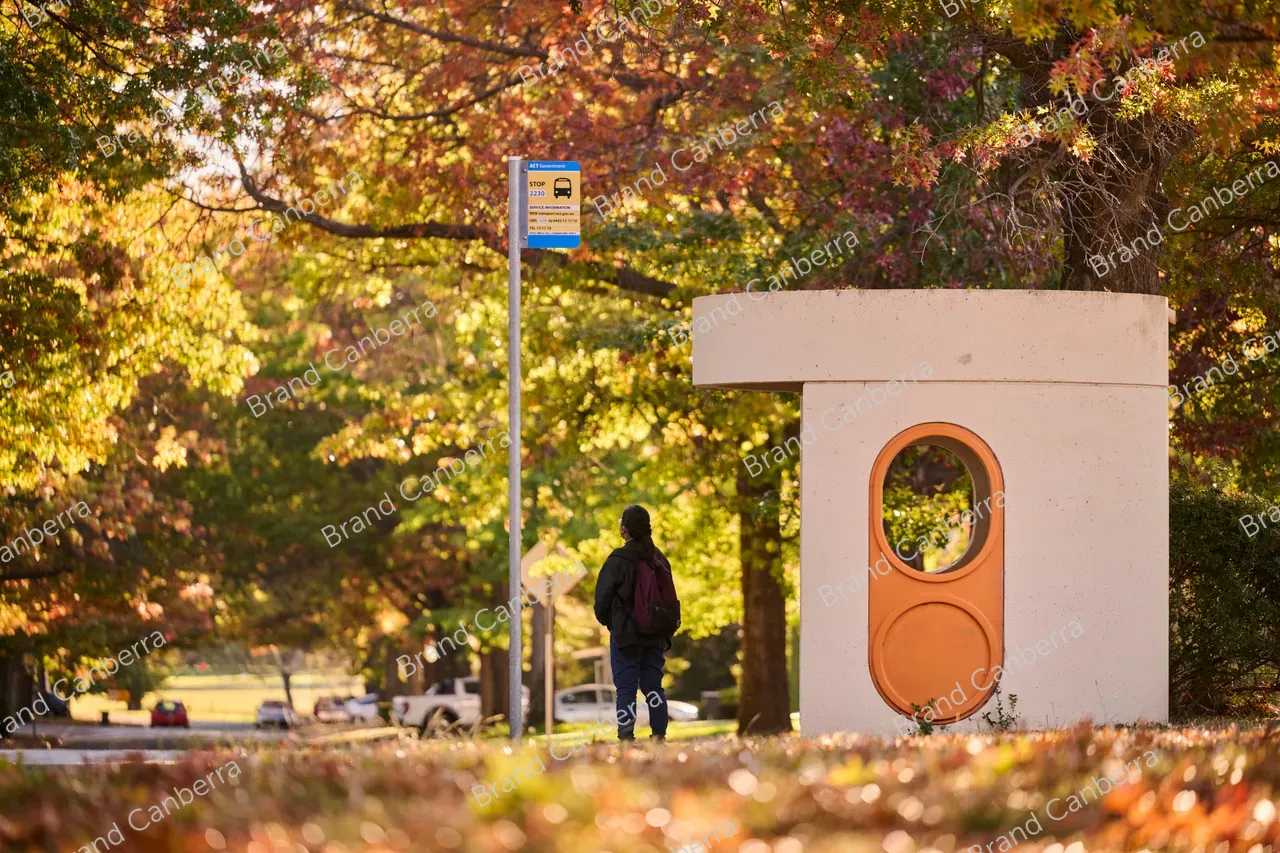 Autumn streets in the inner south in Canberra, Schlich St Yarralumla (2)