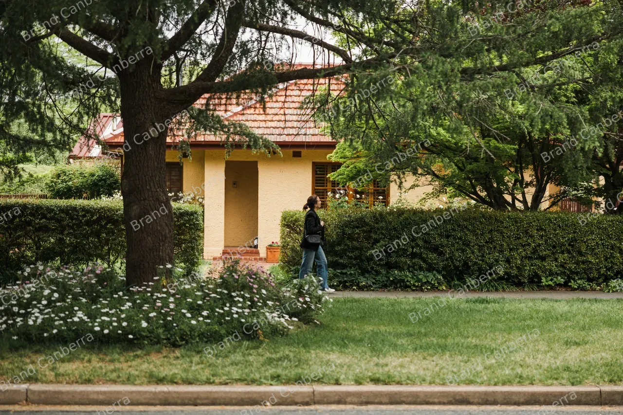 Kingston Streetscape (04)