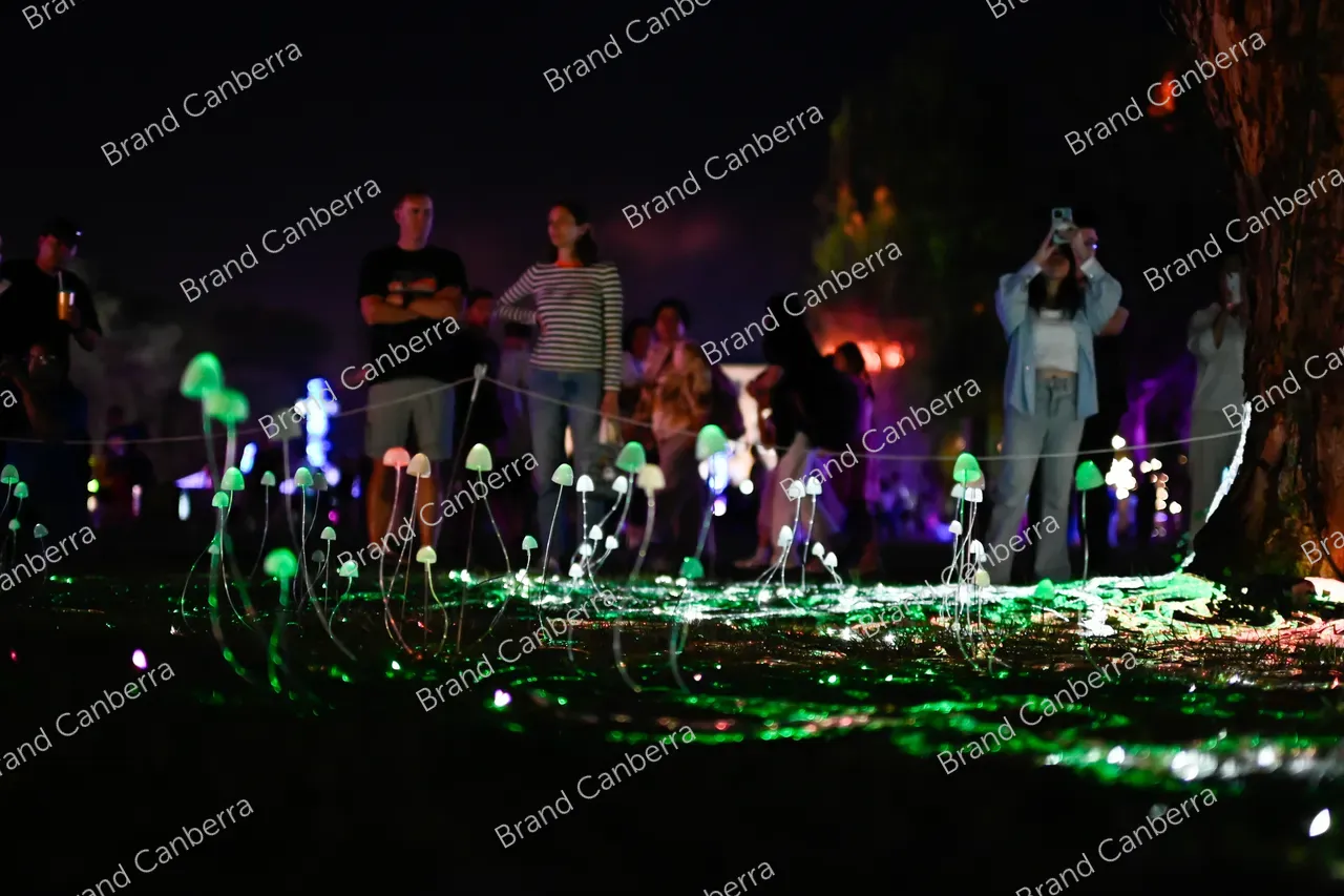 Mycelium Network installation by Custom Fibre Optics at Enlighten Festival