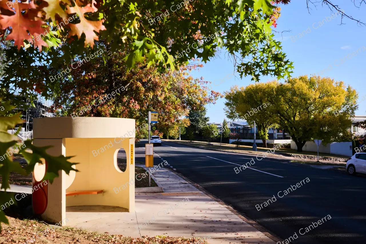 Autumn streets in the inner south, Stuart St Griffith (1)
