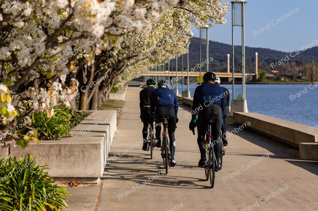 Spring blossoms around Canberra's Lake Burley Griffin (17)