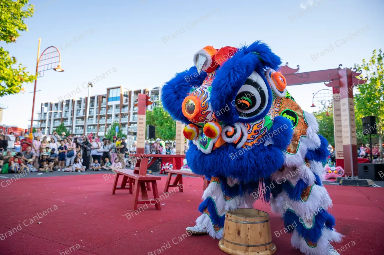 Lunar New Year 2025