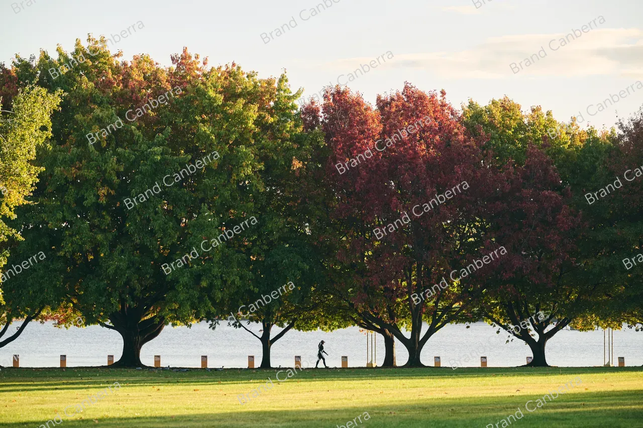 Autumn trees around Canberra's Lake Burley Griffin (7)