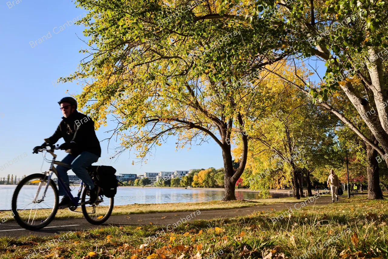 Autumn trees around Lake Burley Griffin seen from Bowen Park (2)