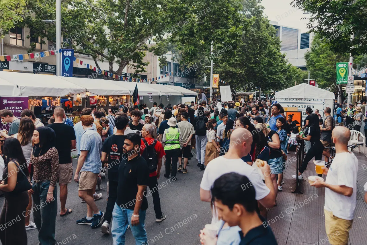 Crowds at National Multicultural Festival (9)