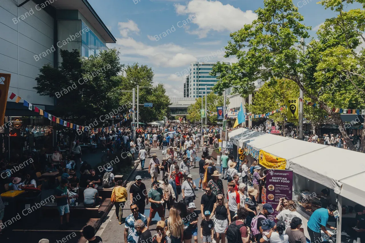 Crowds at National Multicultural Festival (18)