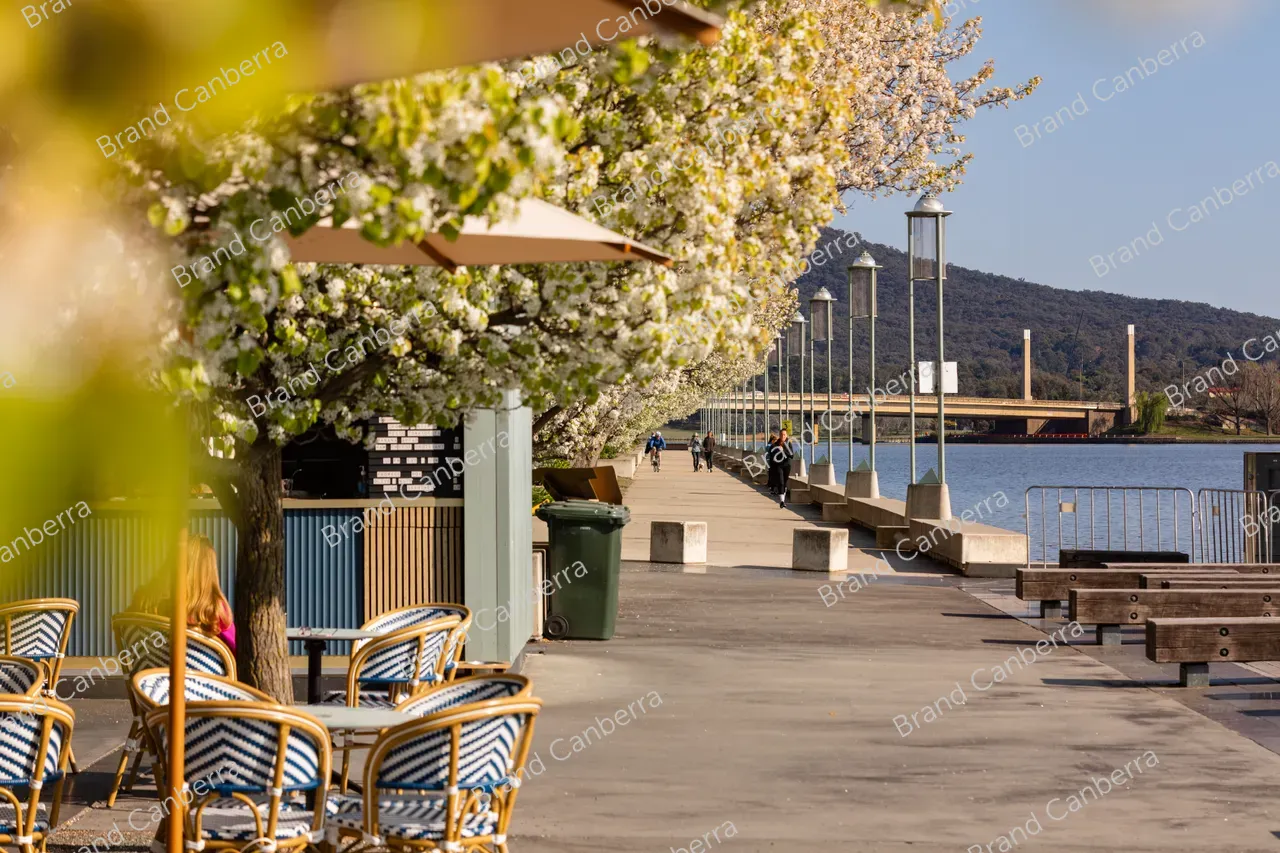 Spring blossoms around Canberra's Lake Burley Griffin (34)