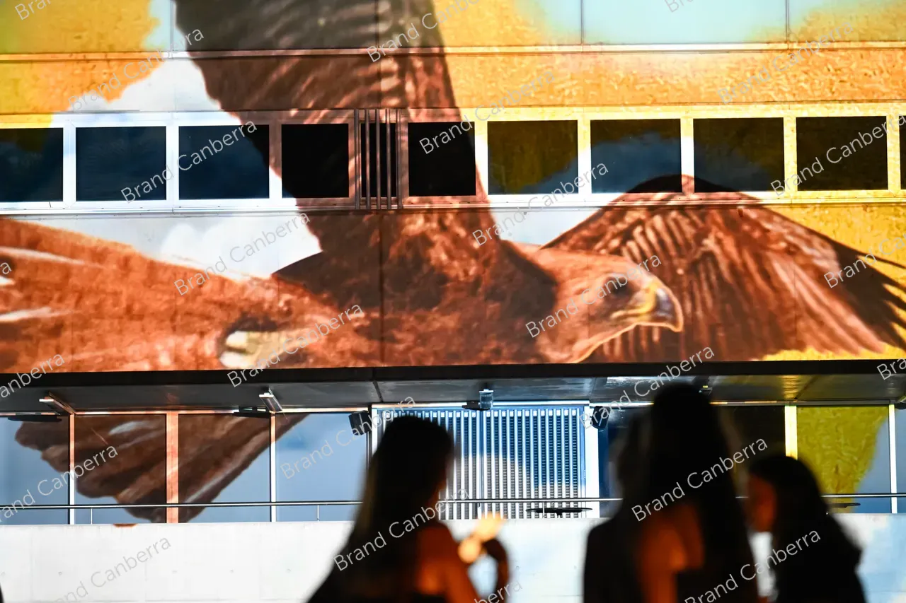 NPG illumination Inferno by Ryan Presley at Enlighten Festival (2)