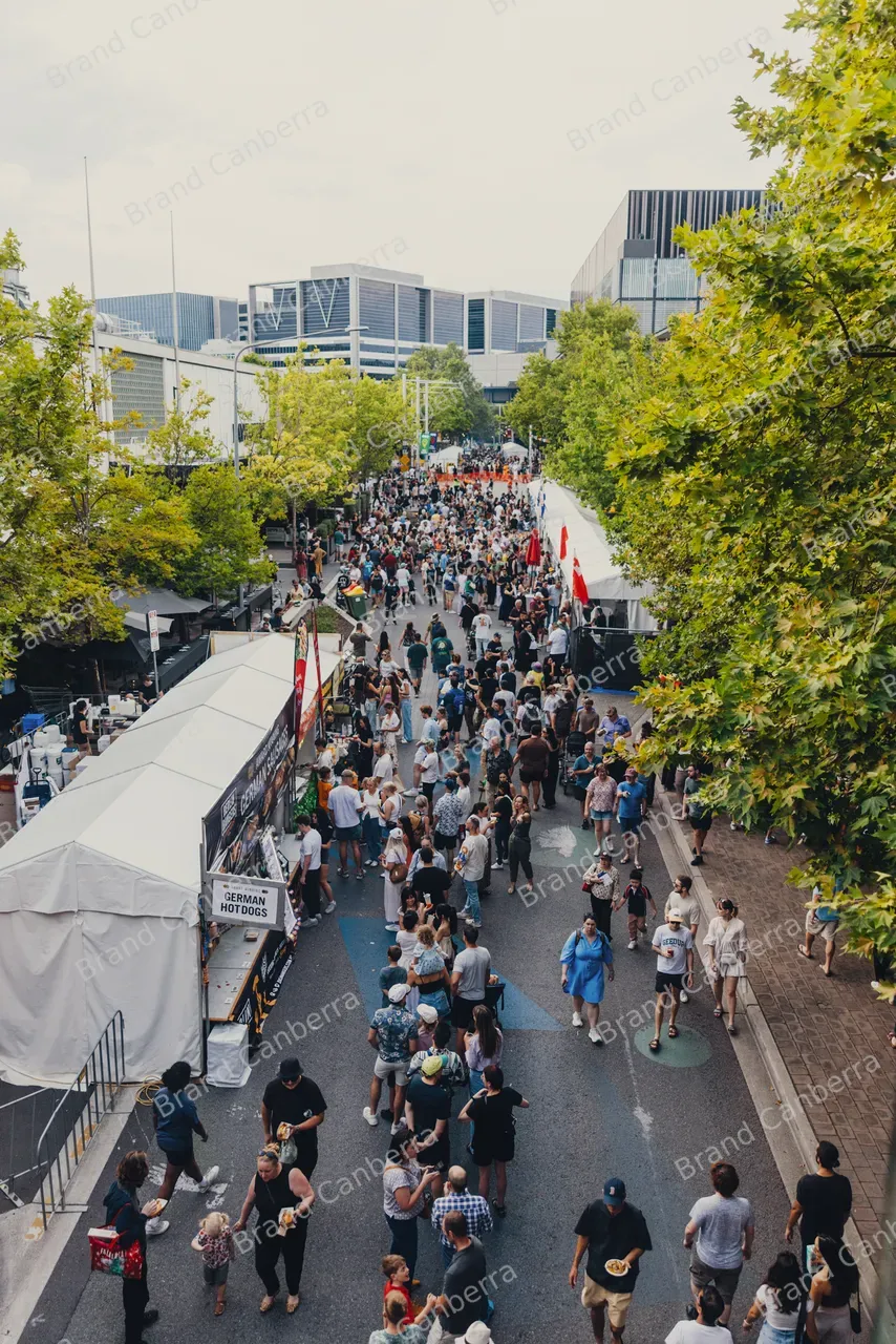 Crowds at National Multicultural Festival (3)