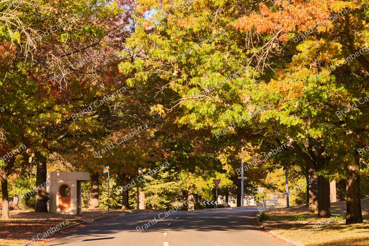 Autumn streets in the inner south in Canberra, Schlich St Yarralumla
