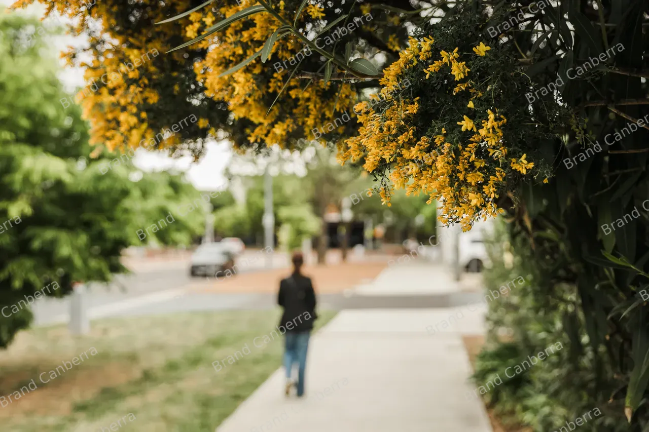 Kingston Streetscape (01)