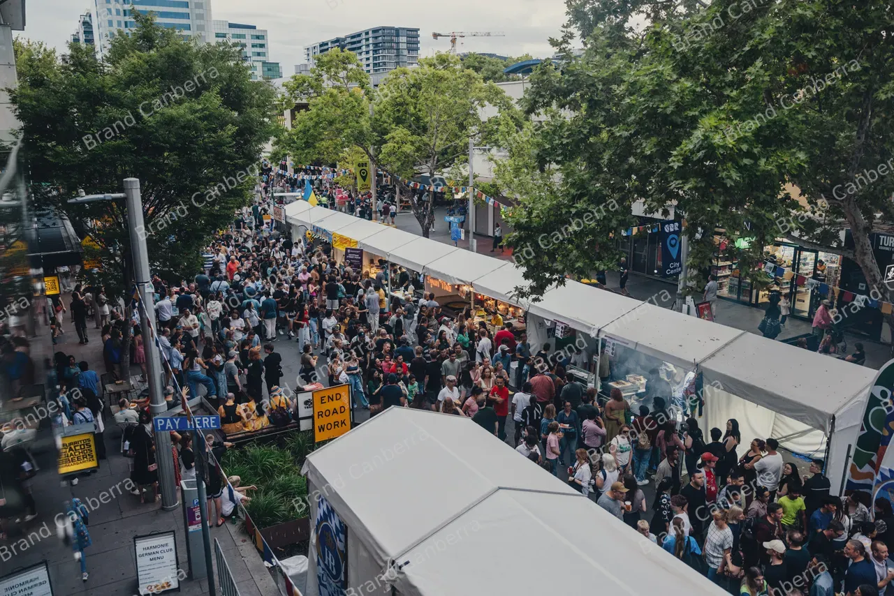 Crowds at National Multicultural Festival (15)