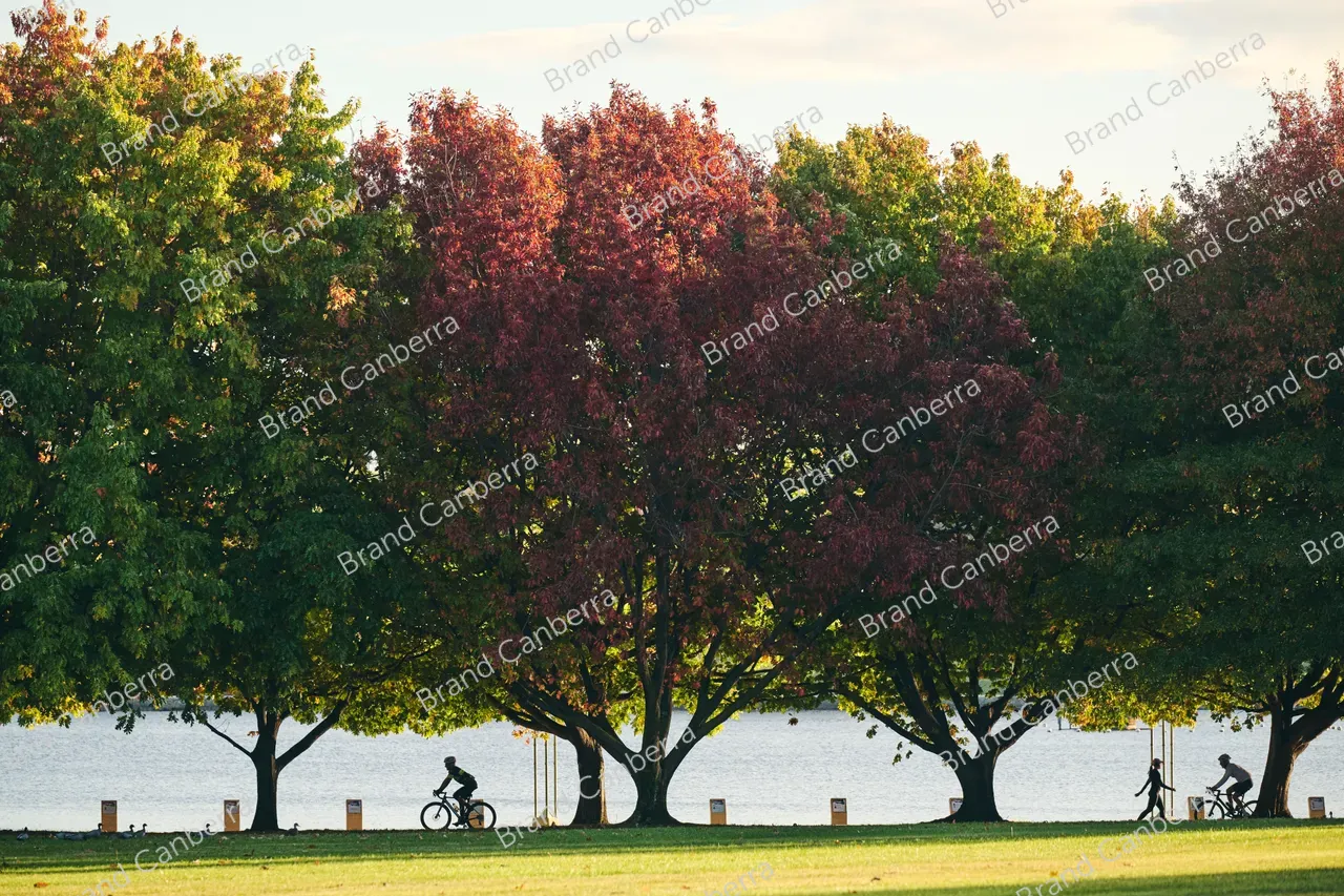 Autumn trees around Canberra's Lake Burley Griffin (8)