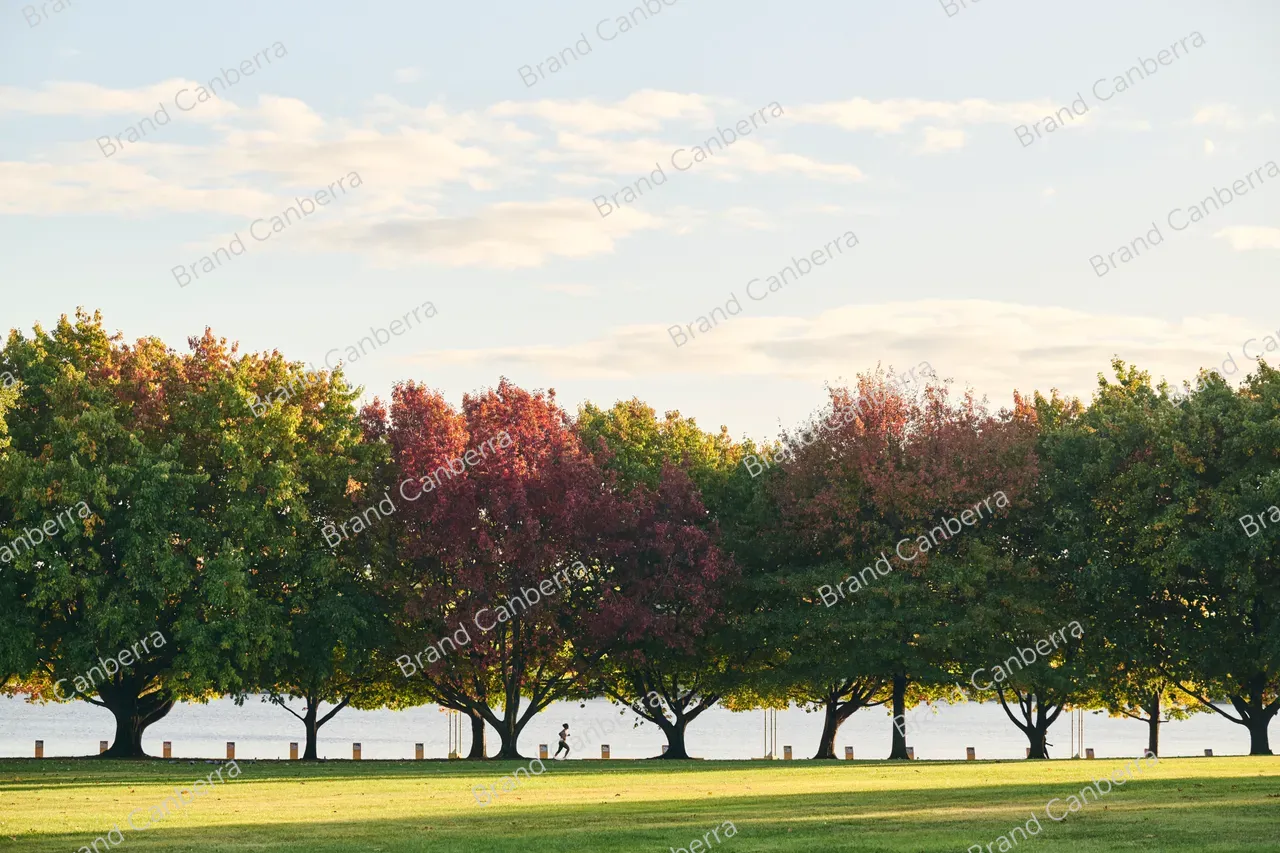 Autumn trees around Canberra's Lake Burley Griffin (9)