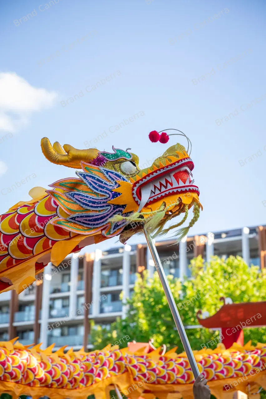 Lunar New Year 2025