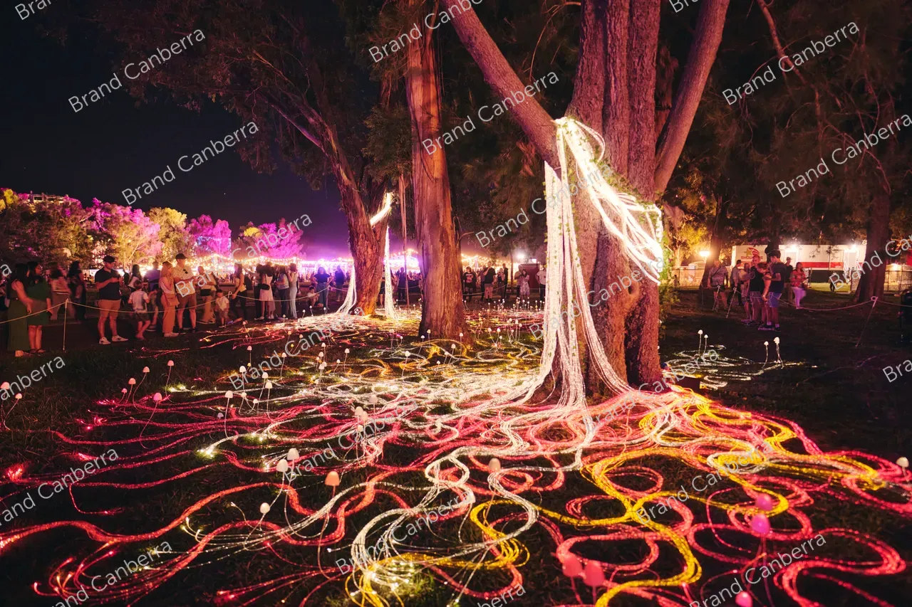 Mycelium Network installation by Custom Fibre Optics at Enlighten Festival (4)