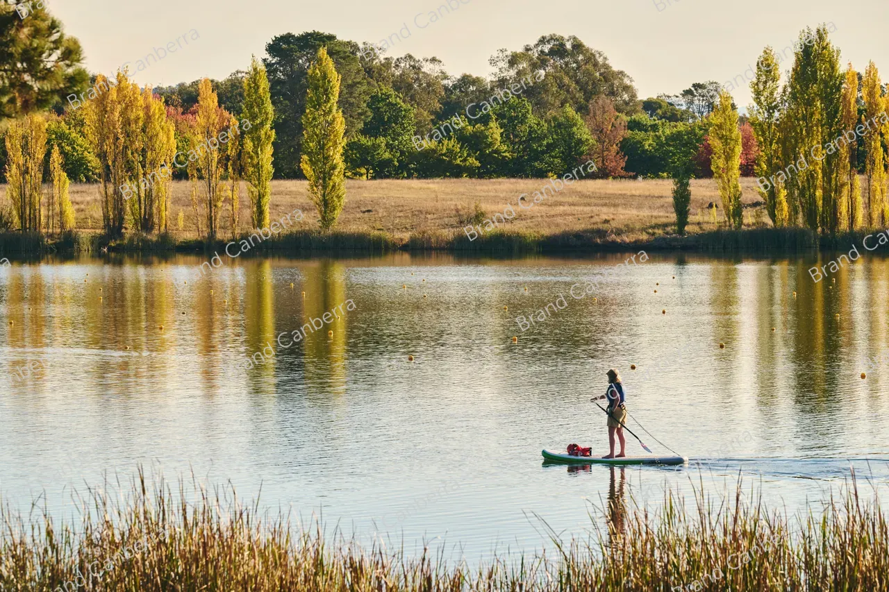 Autumn trees around Lake Burley Griffin seen from Weston Park (6)