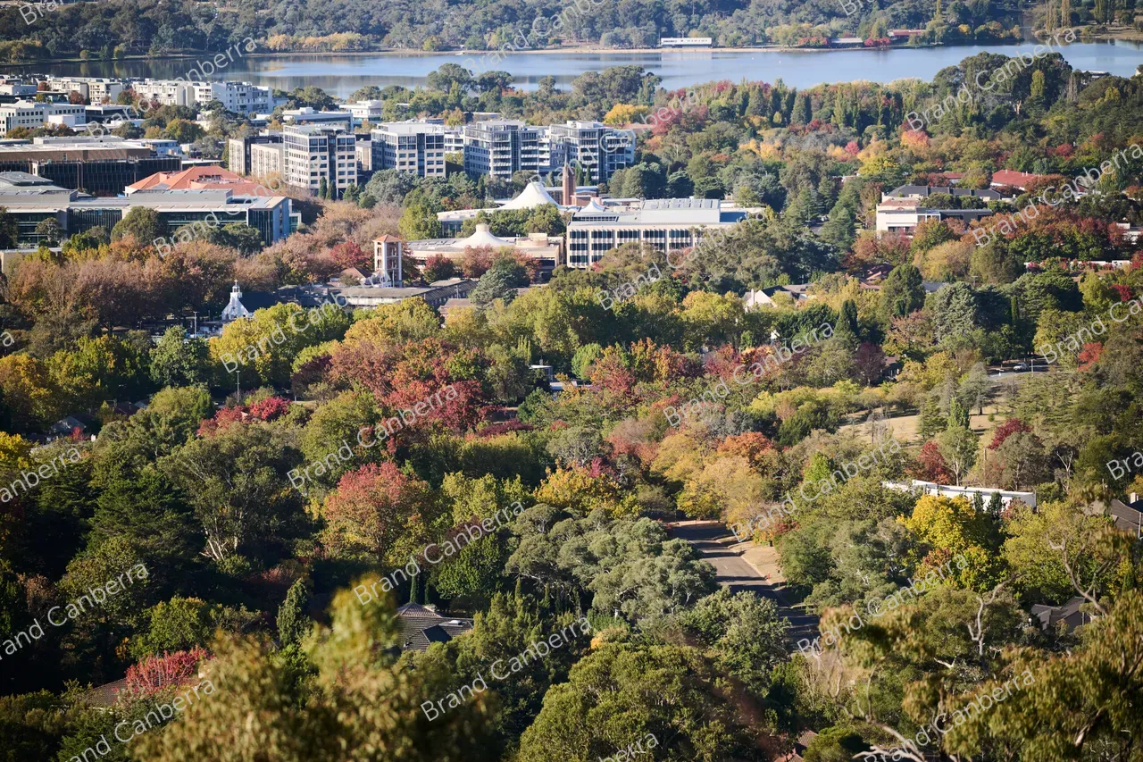 The view from Red Hill in Canberra's inner south (4)