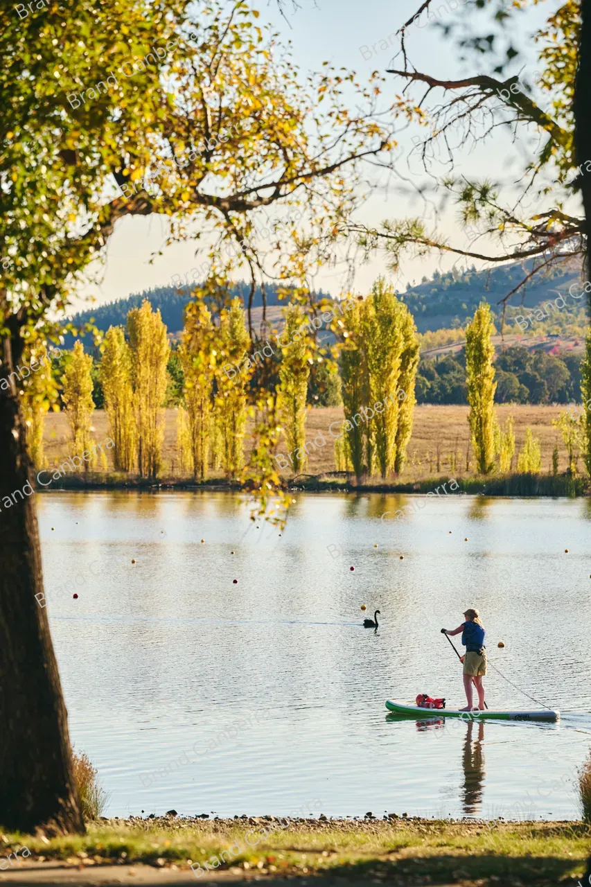 Autumn trees around Lake Burley Griffin seen from Weston Park (4)