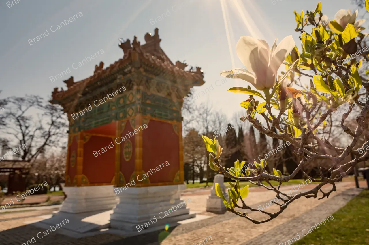 The Beijing Garden in Lennox Gardens on Canberra's Lake Burley Griffin (4)