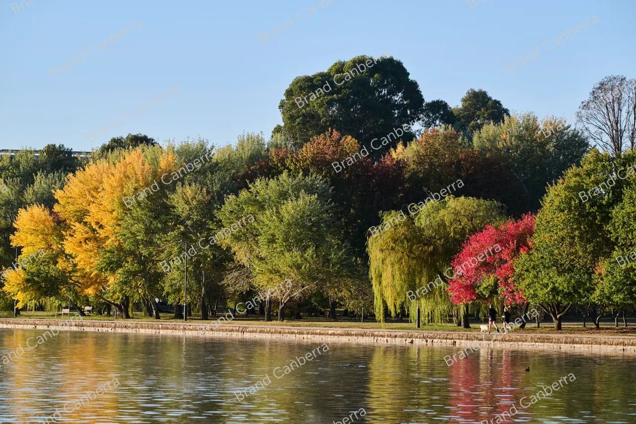 Autumn trees around Lake Burley Griffin seen from Bowen Park (4)