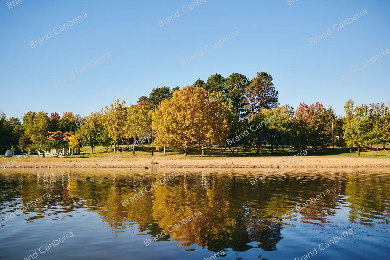 Autumn trees around Lake Burley Griffin seen from Lennox Gardens