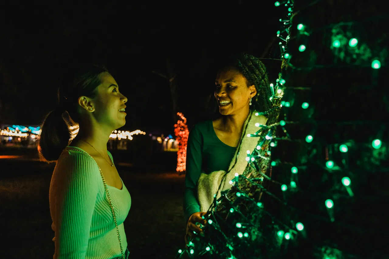 2024 Enlighten Festival