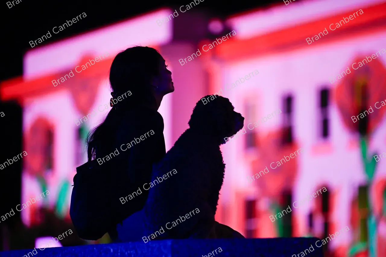 MOAD illumination A Date with Democracy by Claudia Chinyere Akole at Enlighten Festival (5)