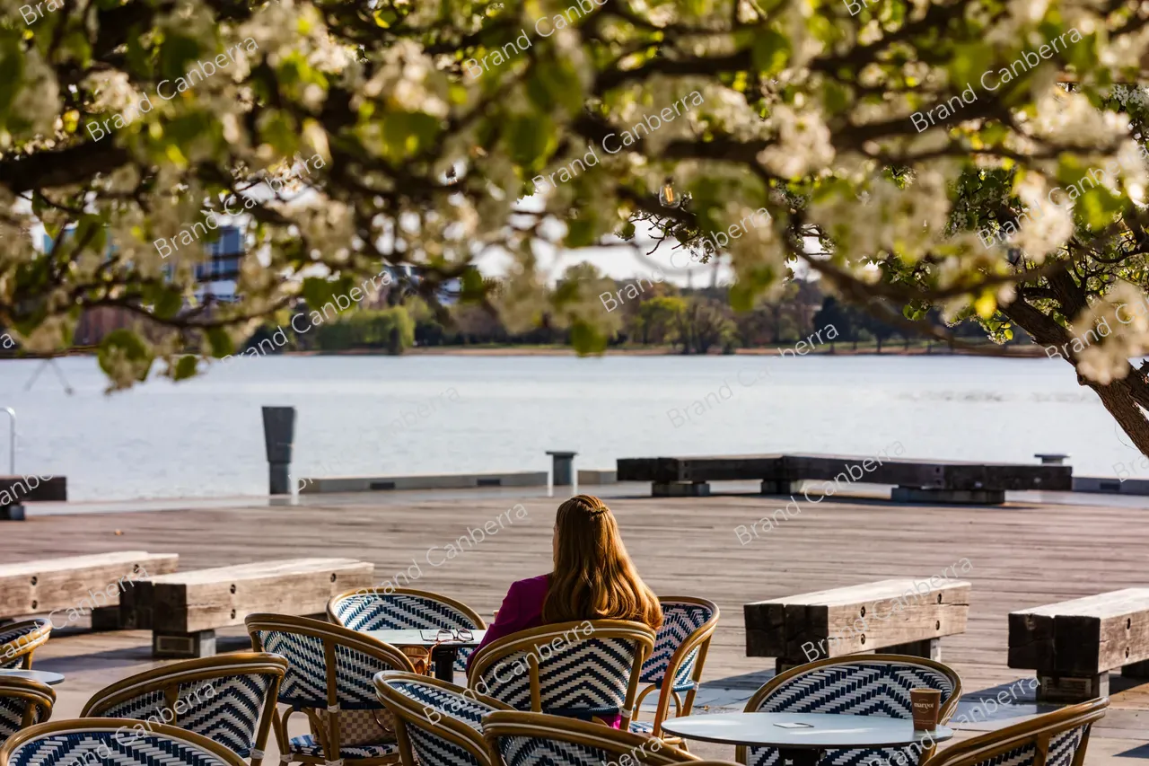 Spring blossoms around Canberra's Lake Burley Griffin (25)
