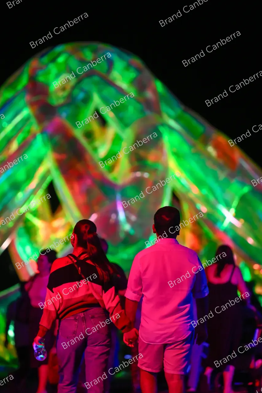 Meliora installation by Atelier Sisu at Enlighten Festival (4)