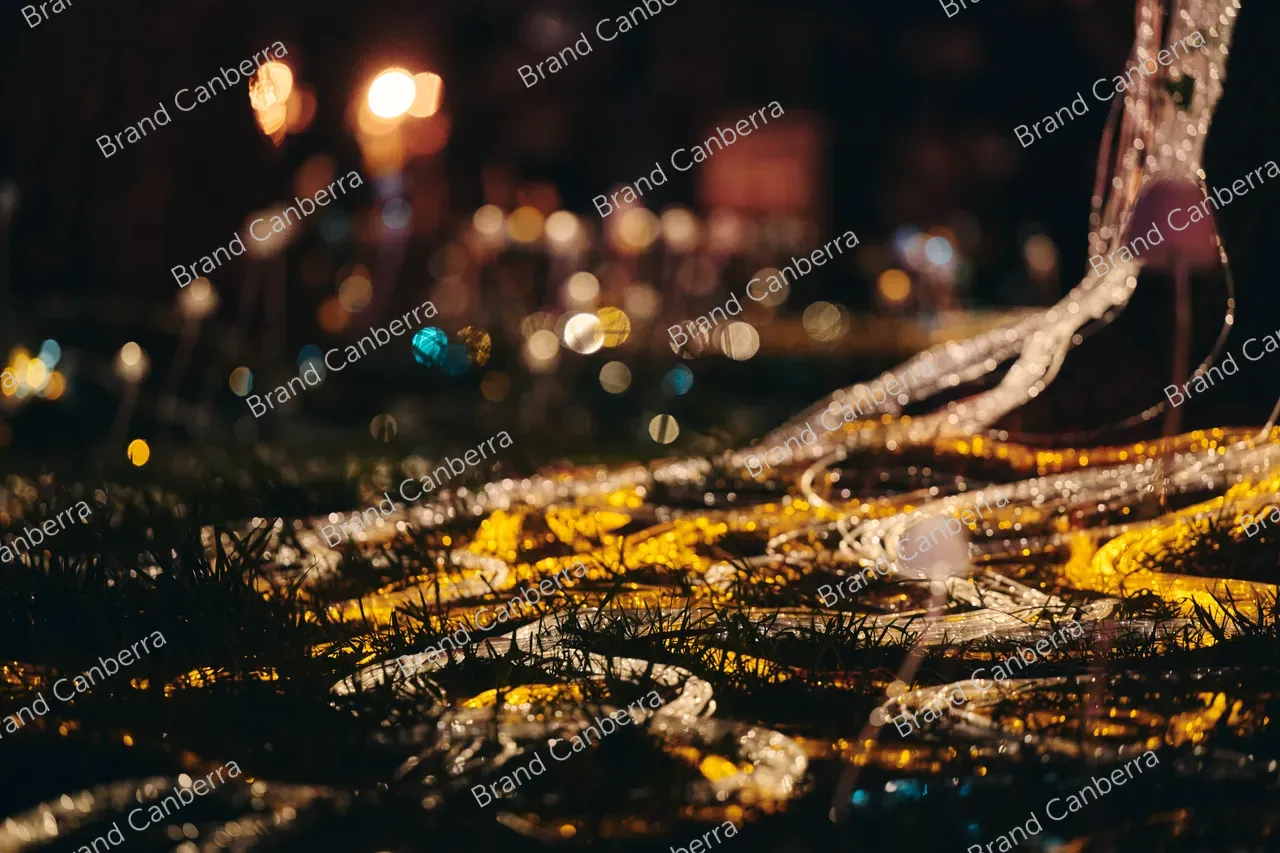 Mycelium Network installation by Custom Fibre Optics at Enlighten Festival (1)