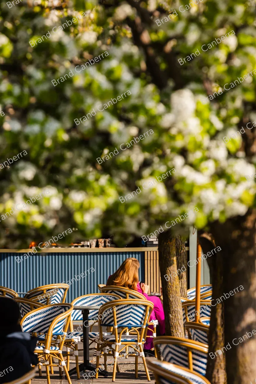 Spring blossoms around Canberra's Lake Burley Griffin (28)