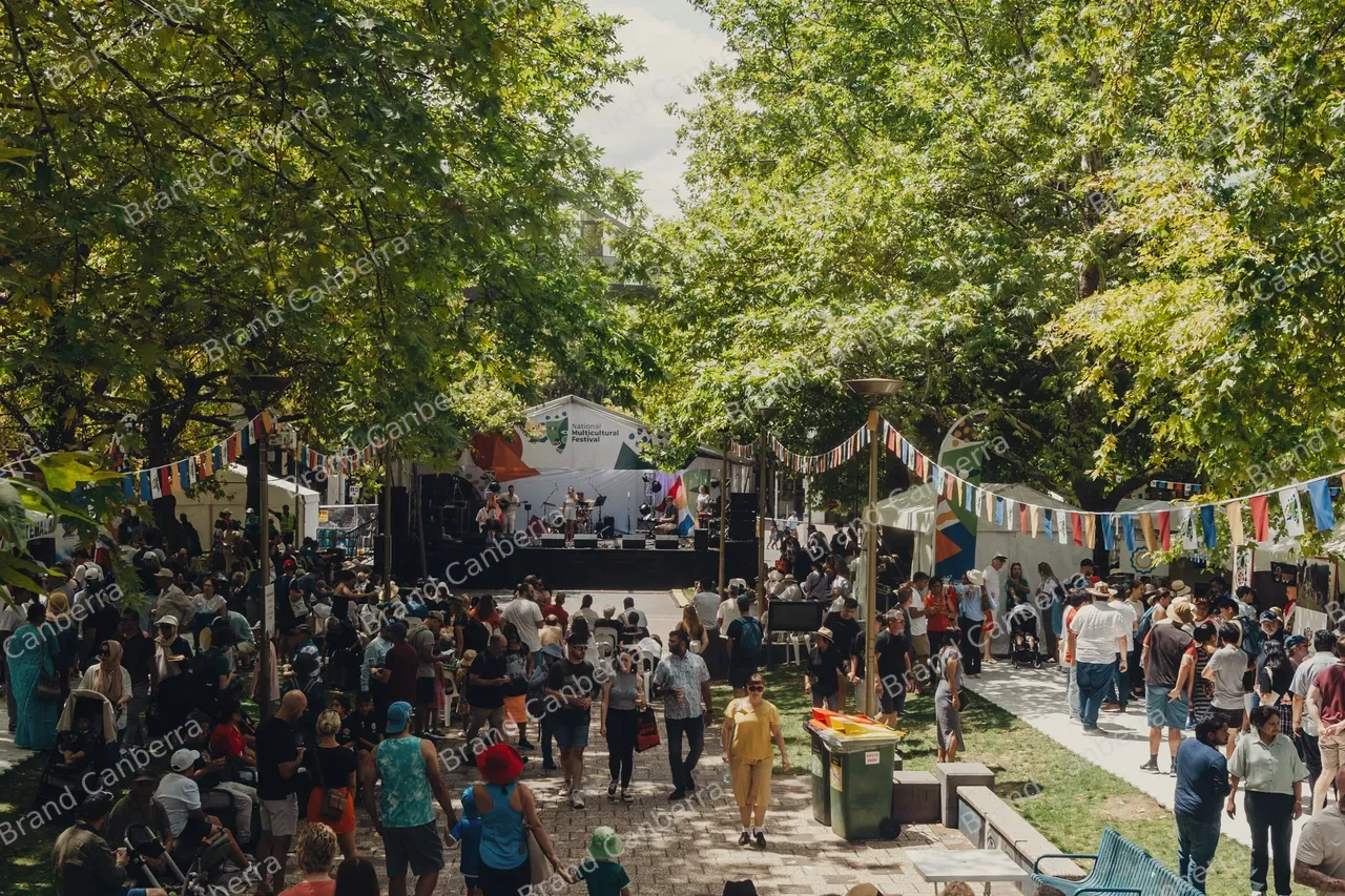 Crowds at National Multicultural Festival (19)