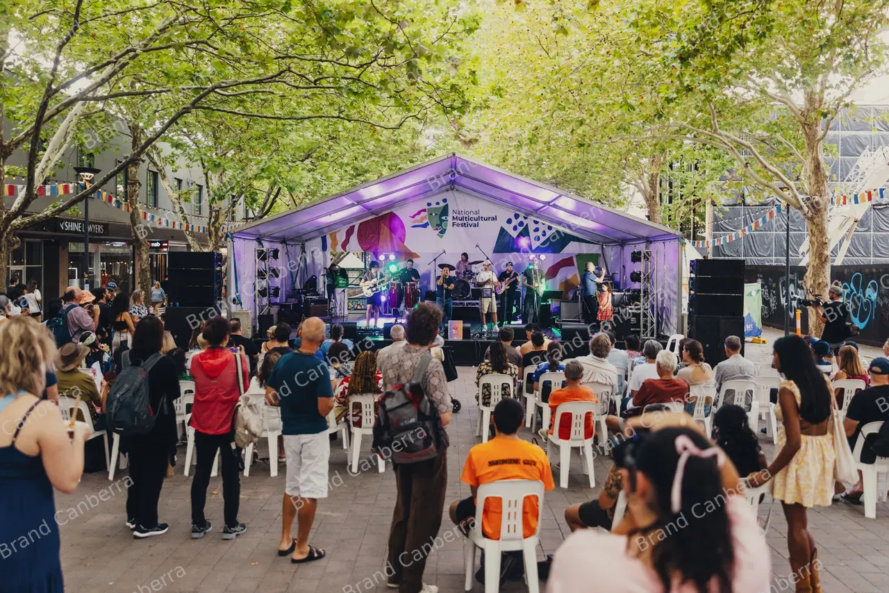 Crowds at National Multicultural Festival (4)