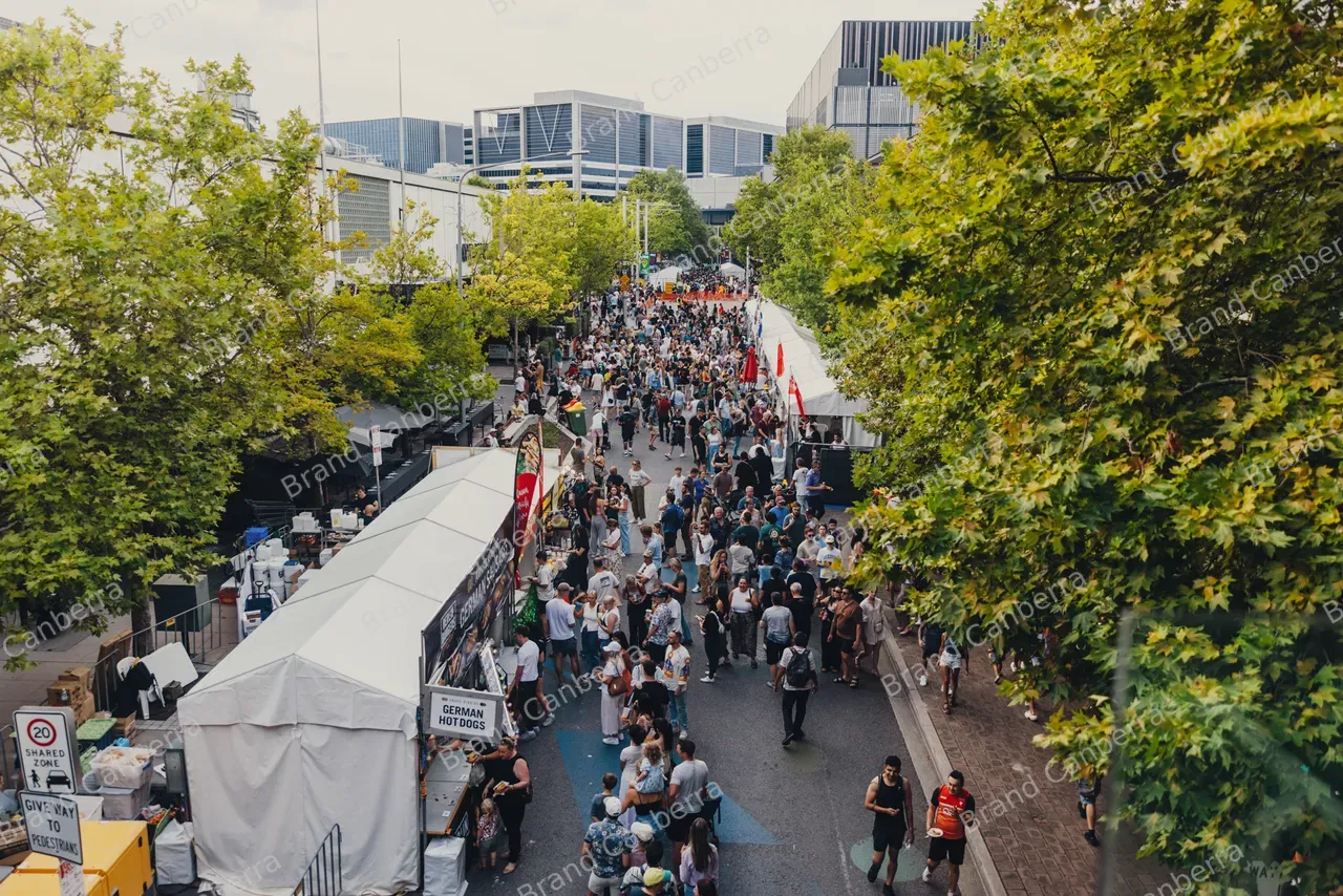 Crowds at National Multicultural Festival (2)