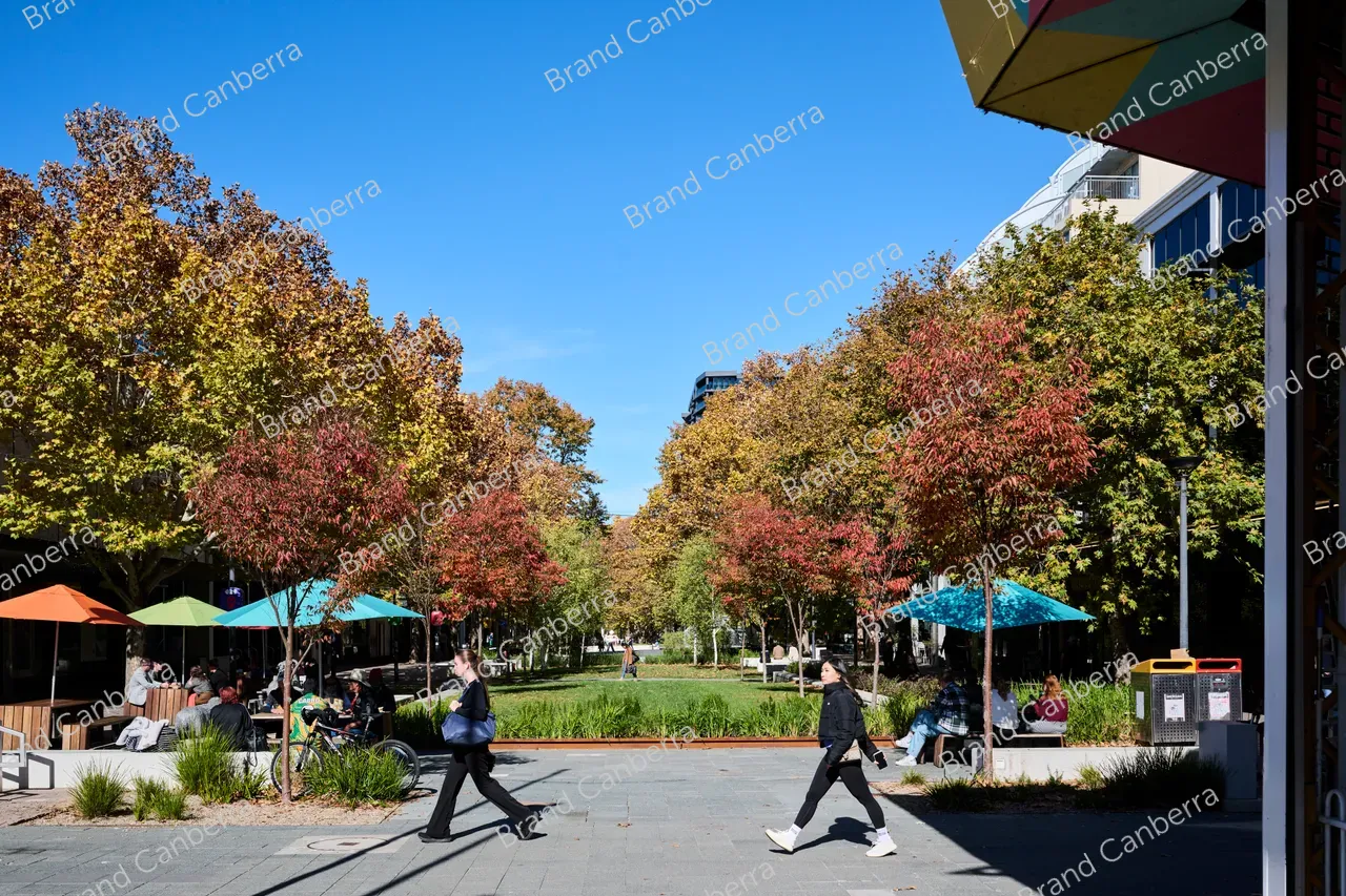 City Walk in Autumn (6)