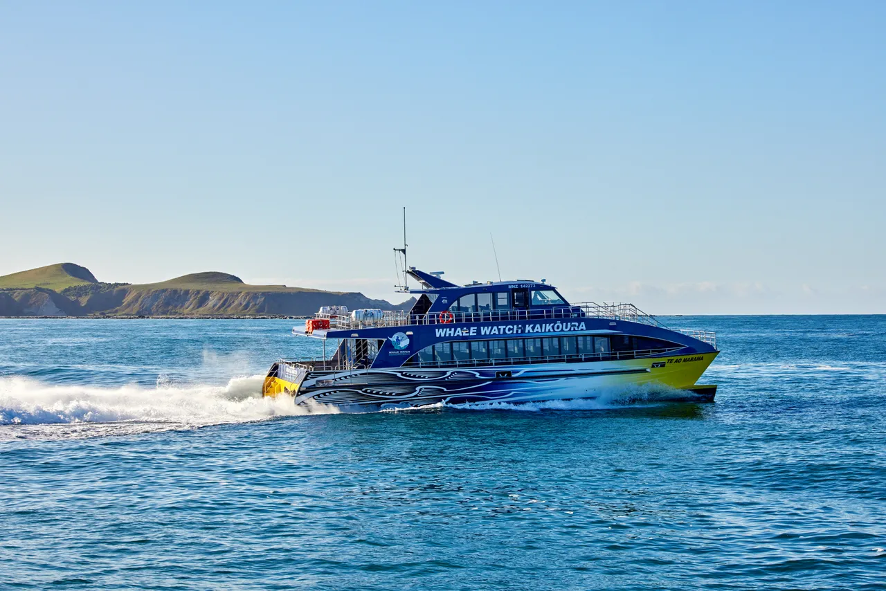 Album cover Marine Tours