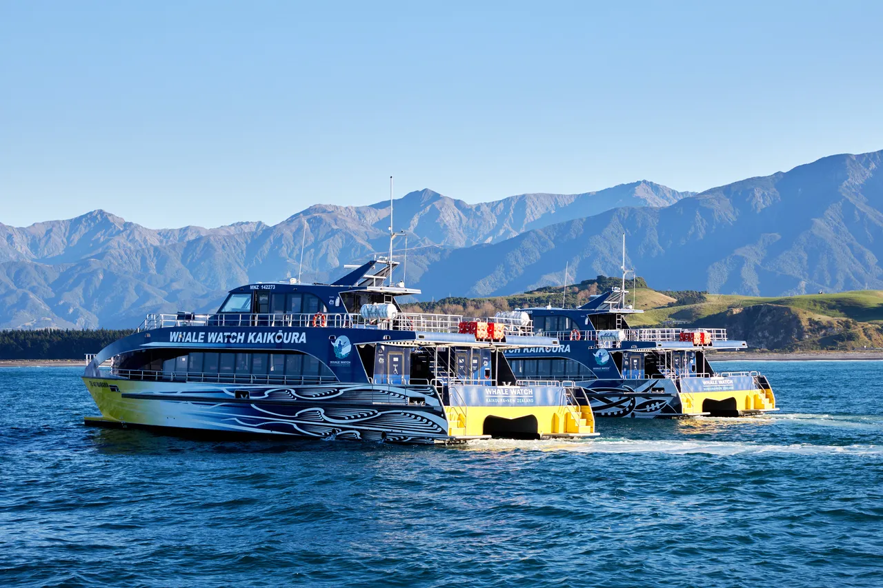 New Boats