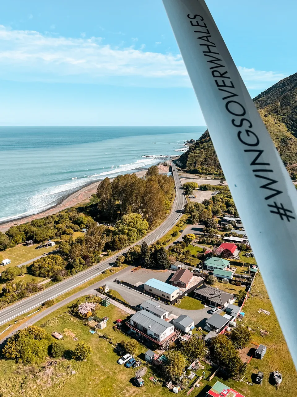 Wings over Whales2( Roady)
