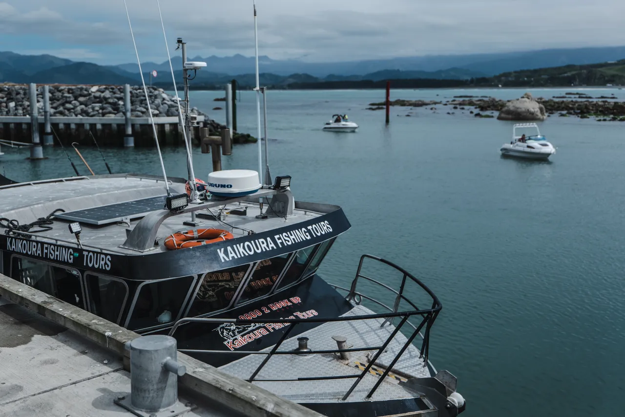 Kaikoura Fishing Tours2