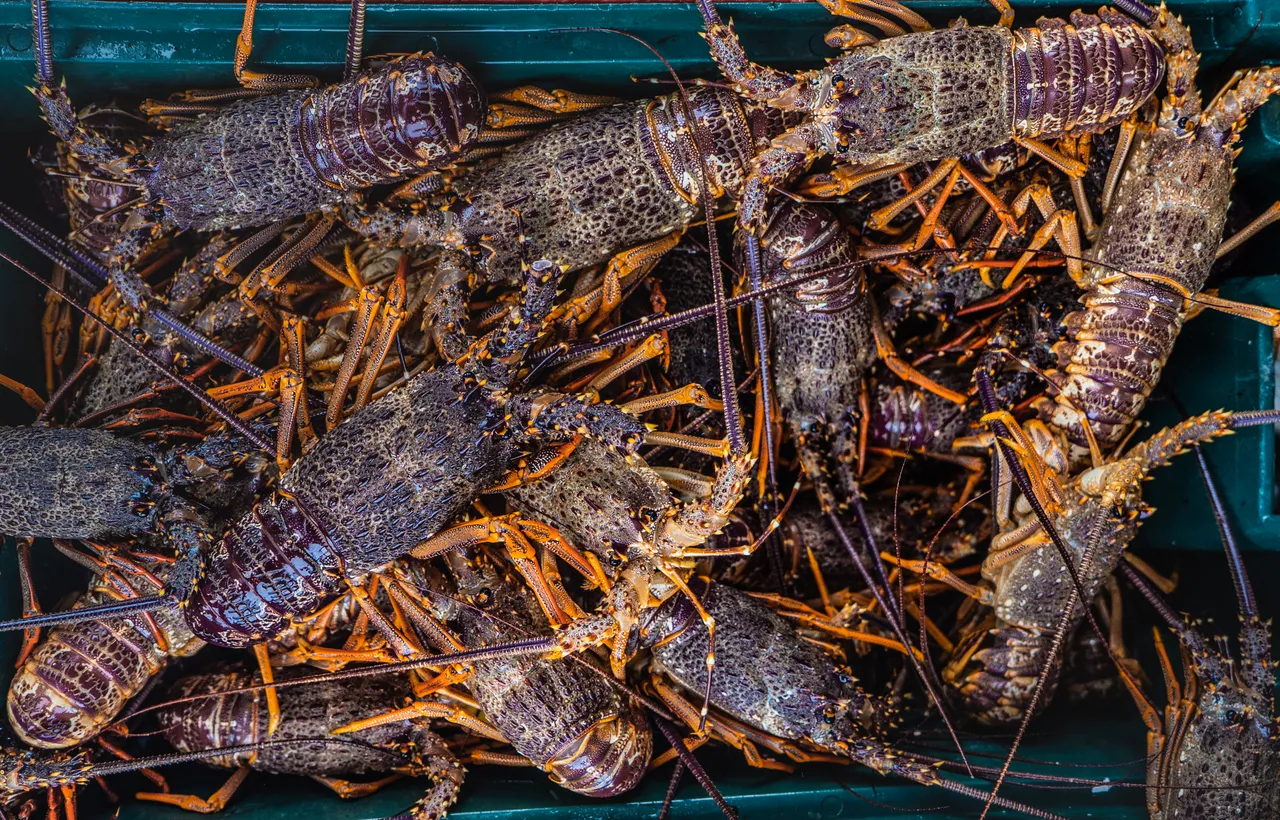 Crayfish
