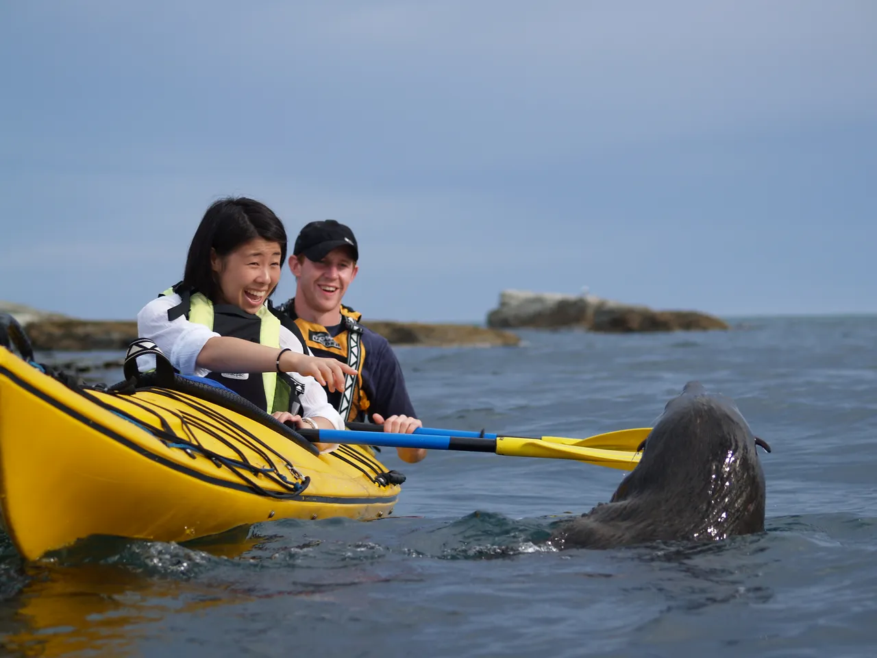 Wildlife Kayaking