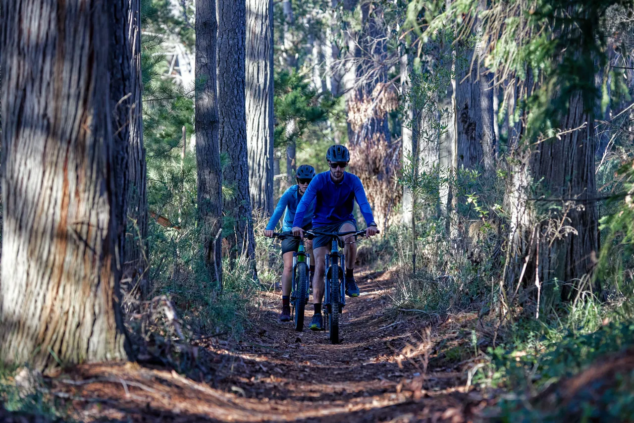 Cycling through trees 2